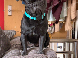 Prince needs his new home