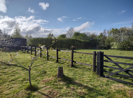 Summer Grazing in Suffolk Coastal