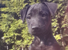 Lakeland,  patterdale