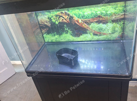 Fish tanks and stand