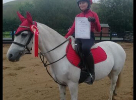 Jumping pony