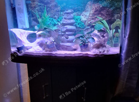 Fishtank with cabinet