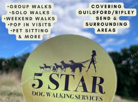 5 Star Dog Walking Services