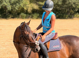 A true confidence giver teens horse