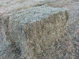 Quality 4ft 4 string meadow hay