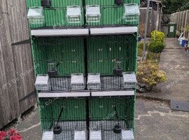 Brand new cages