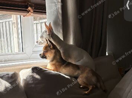 Mum and daughter