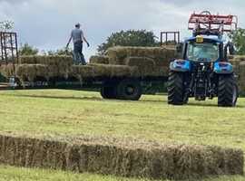 Small bale horse Hay. Due in in May