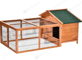 2 male guinea pigs & hutch