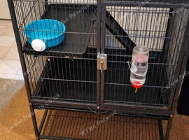 Animal cage with bowls water bottle and hammocks