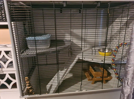 Small rat cage