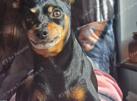 Missing min pin