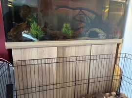 240/250L Jewel fish tank and stand