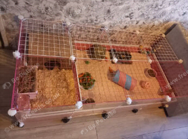 Large pink cc cage with accessories