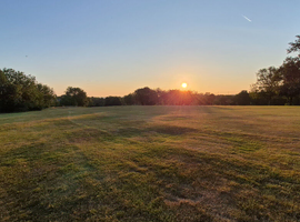 Grazing land wanted in Surrey
