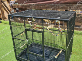 Large Parrot/ bird cage excellent condition