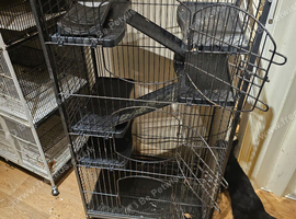 Rat cage