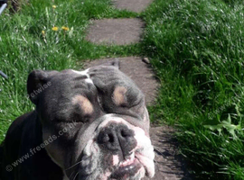 Narla