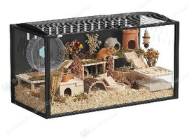 Hamster cage