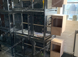 Triple Breeding Cages and single cages available in Bradford