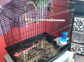 Bird cage