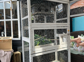 Indoor or outdoor aviary
