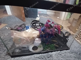 20L Glass Aquarium Fish Tank - Complete Mega Starter Kit (Great Condition)