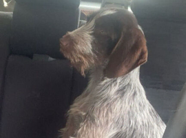 Meet Tom
