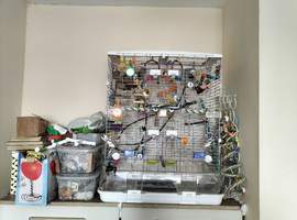 Vision tall L12 cage with accessories