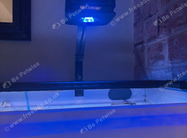 Marine reef lights