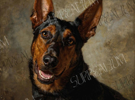 LAIZHOU HONG.  (Chinese red dog)