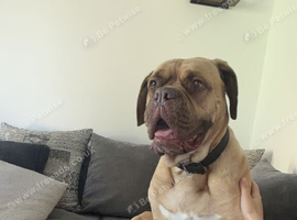 Beautiful girl Maggie