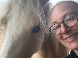 SOLE-USE YARD / GRAZING WANTED &ndash; 3 PONIES