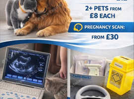 Mobile Pet Microchipping - Torbay - Teignbridge