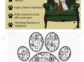 Brighton's pet sitting and dog walking service