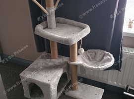 Cat tree great condition good size