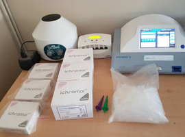 Canine Progesterone Testing Machine & Equipment