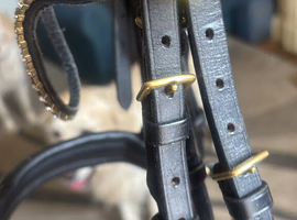 Lovely Schockemole bridle (new)