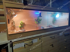 Vivarium LARGE with electrics