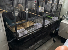 Canaries and cage