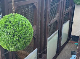 Dog cage