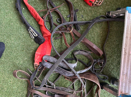 Horse spare leather bits