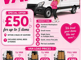 Pet taxi