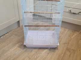 White Bird cage