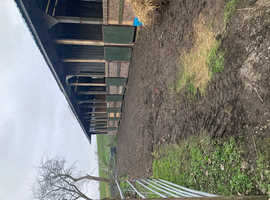 Farm stables