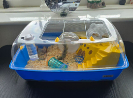 Hamster, cage and accessories