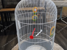 Bird cage new