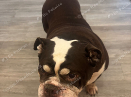 Need to rehome asap