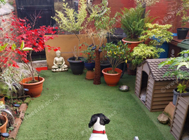 Rehome asap