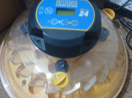 Brinsia 24 egg incubator